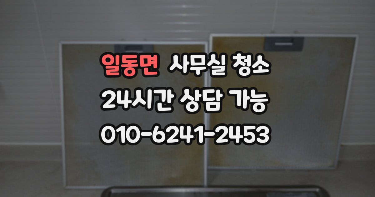 일동면 사무실 청소
