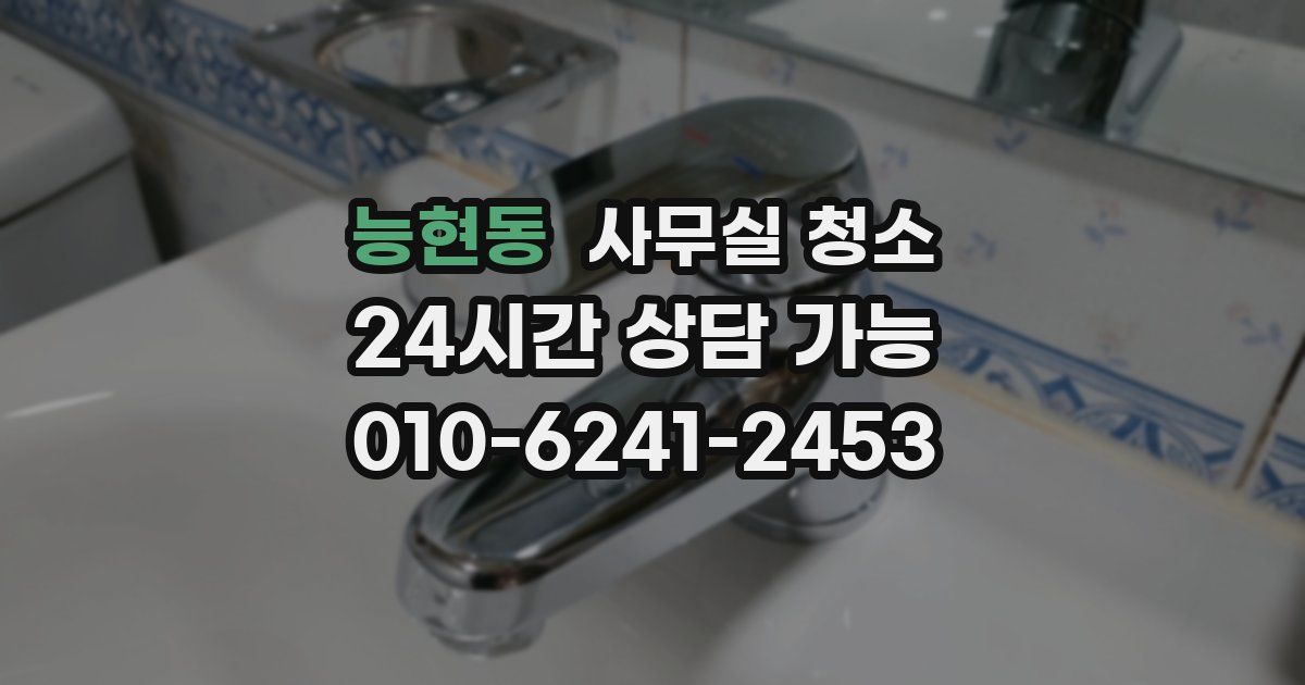 능현동 사무실 청소