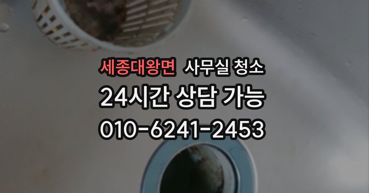 세종대왕면 사무실 청소