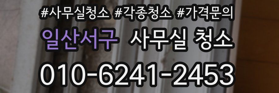 일산서구 사무실 청소