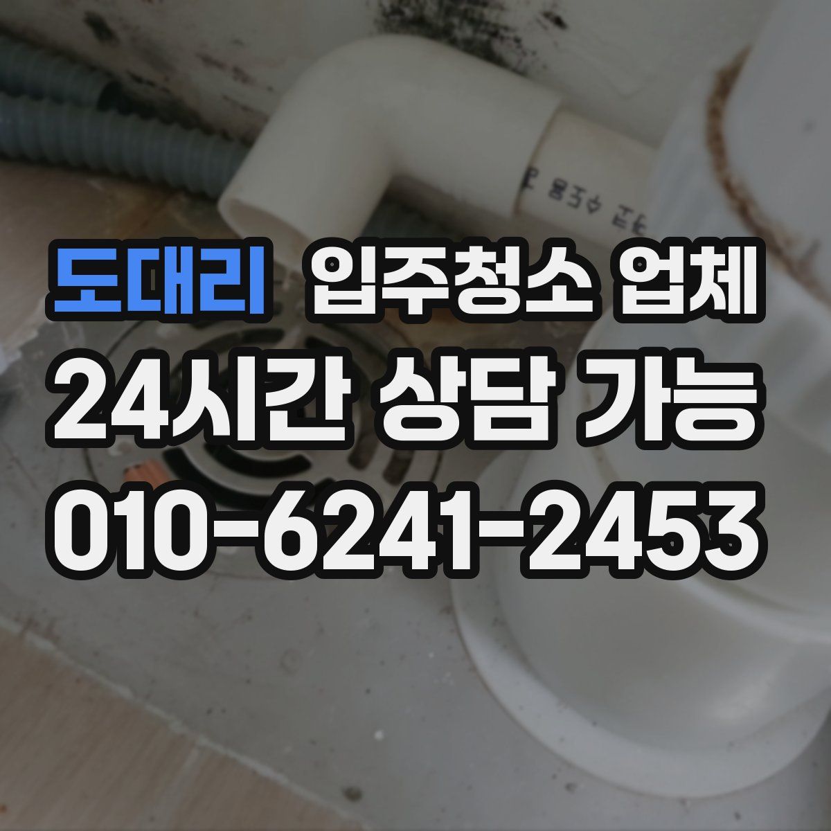 도대리 입주청소 업체