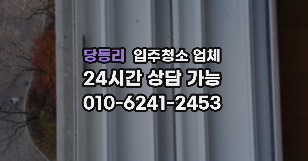 당동리 입주청소 업체