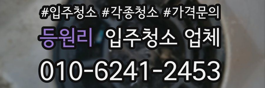 등원리 입주청소 업체