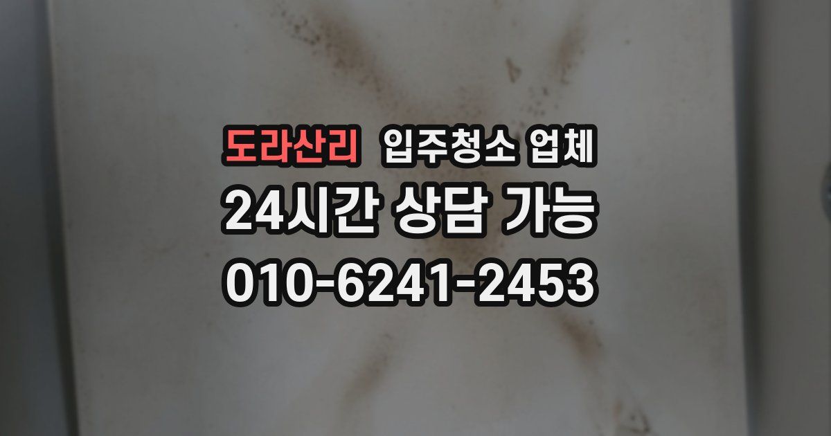 도라산리 입주청소 업체