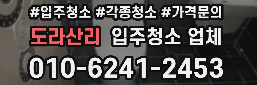도라산리 입주청소 업체