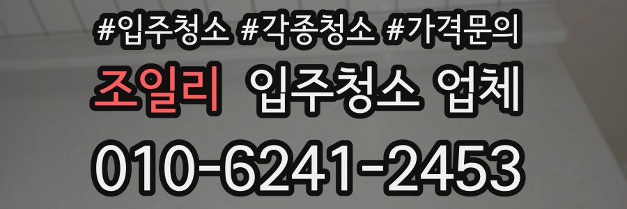 조일리 입주청소 업체