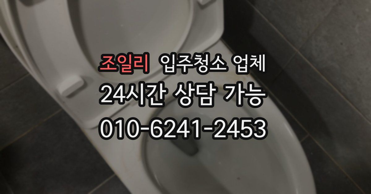 조일리 입주청소 업체
