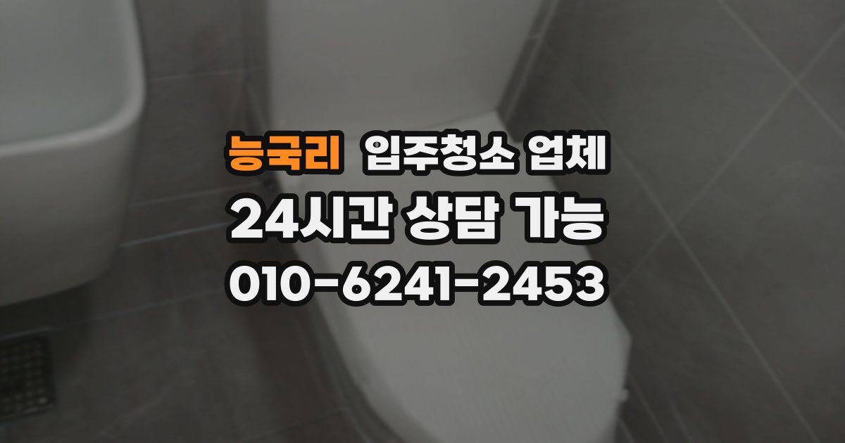 능국리 입주청소 업체
