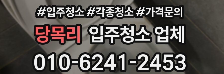 당목리 입주청소 업체