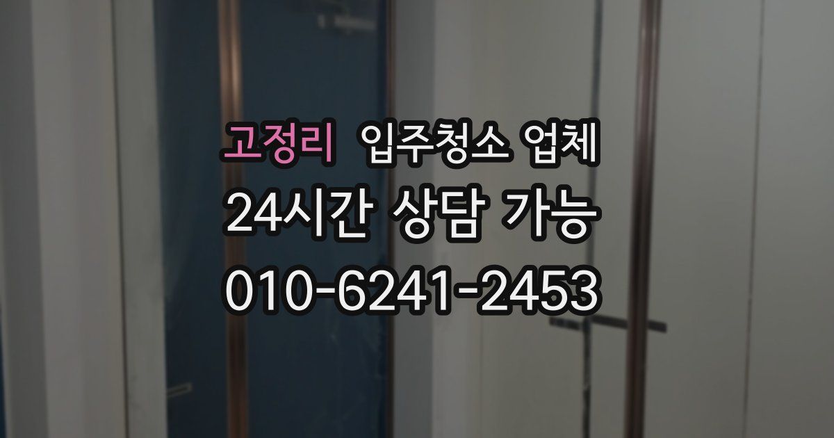 고정리 입주청소 업체