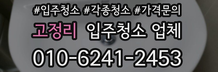 고정리 입주청소 업체