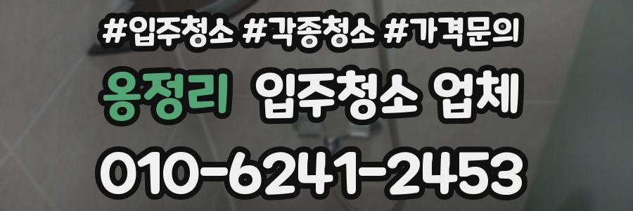 옹정리 입주청소 업체