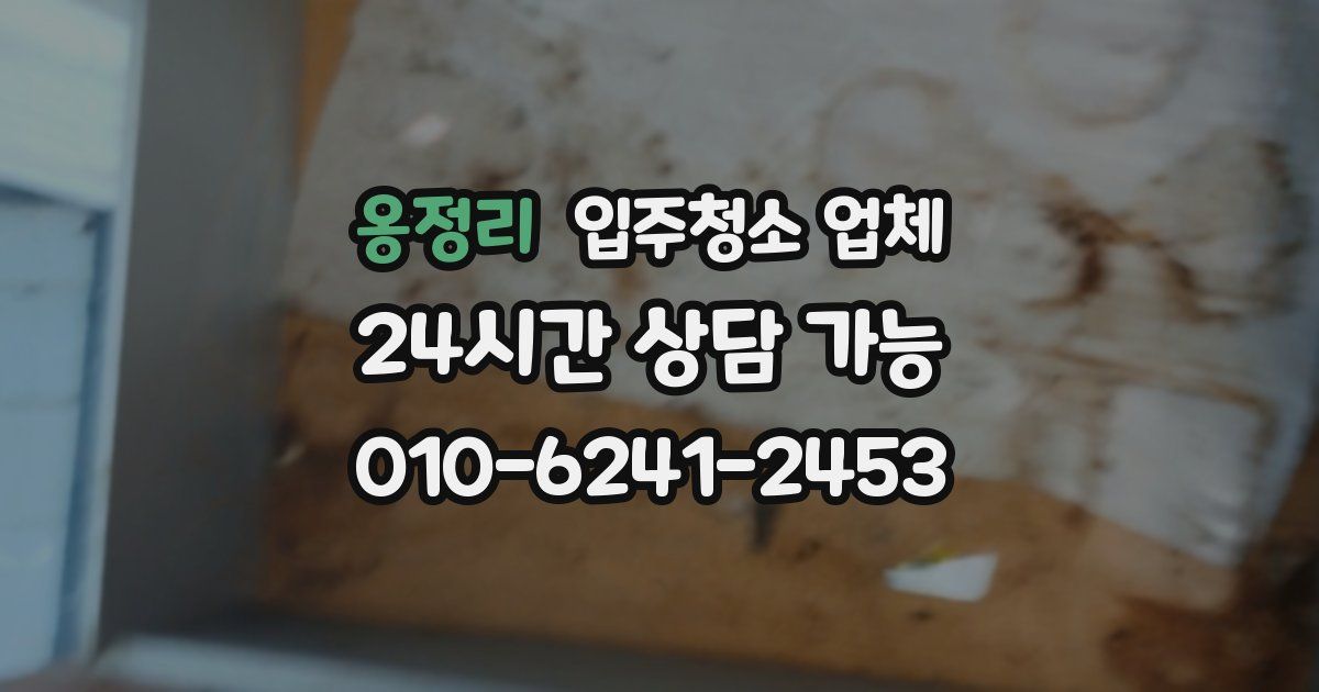 옹정리 입주청소 업체