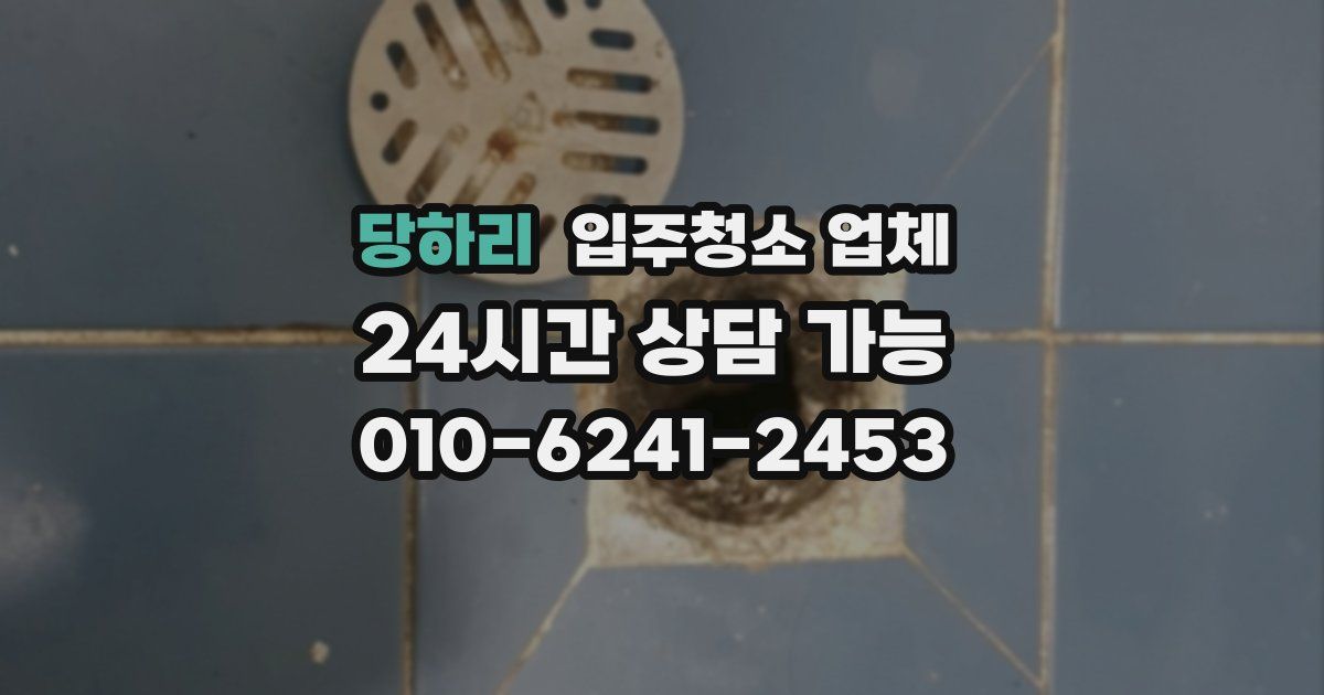 당하리 입주청소 업체