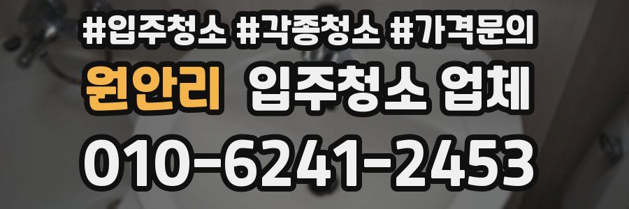 원안리 입주청소 업체