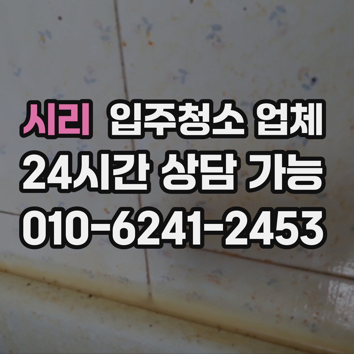 시리 입주청소 업체