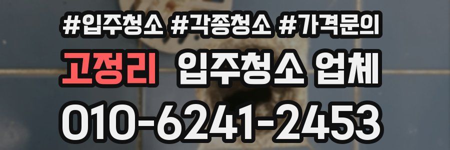 고정리 입주청소 업체