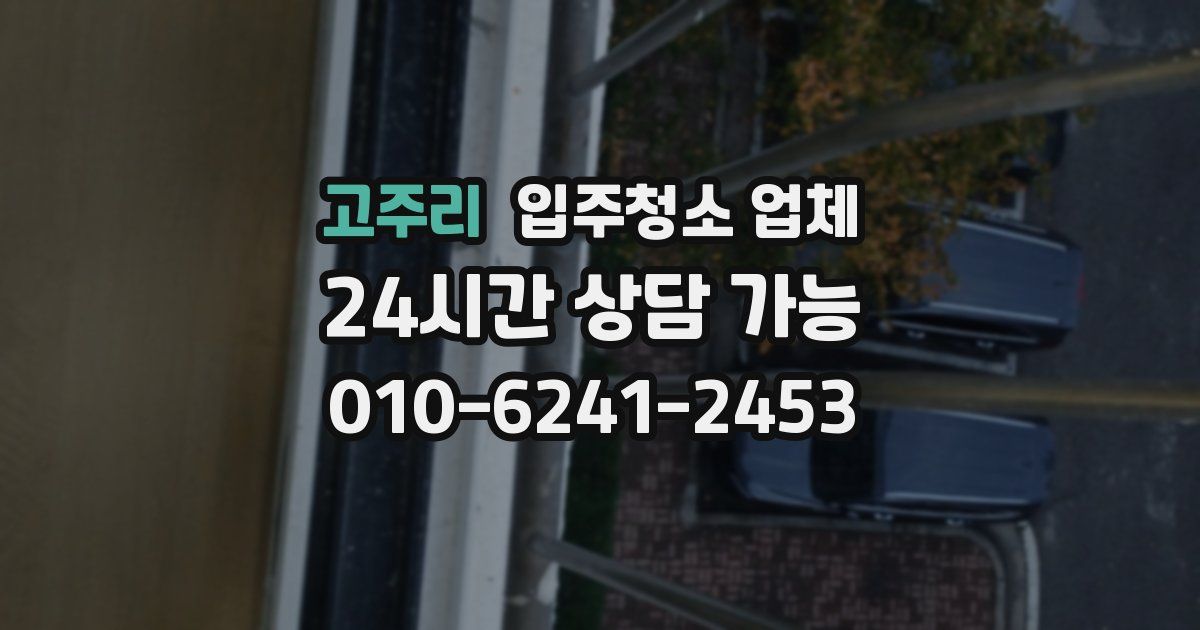 고주리 입주청소 업체