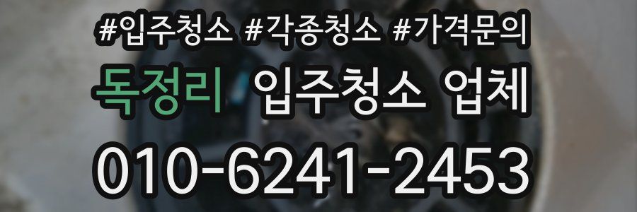 독정리 입주청소 업체