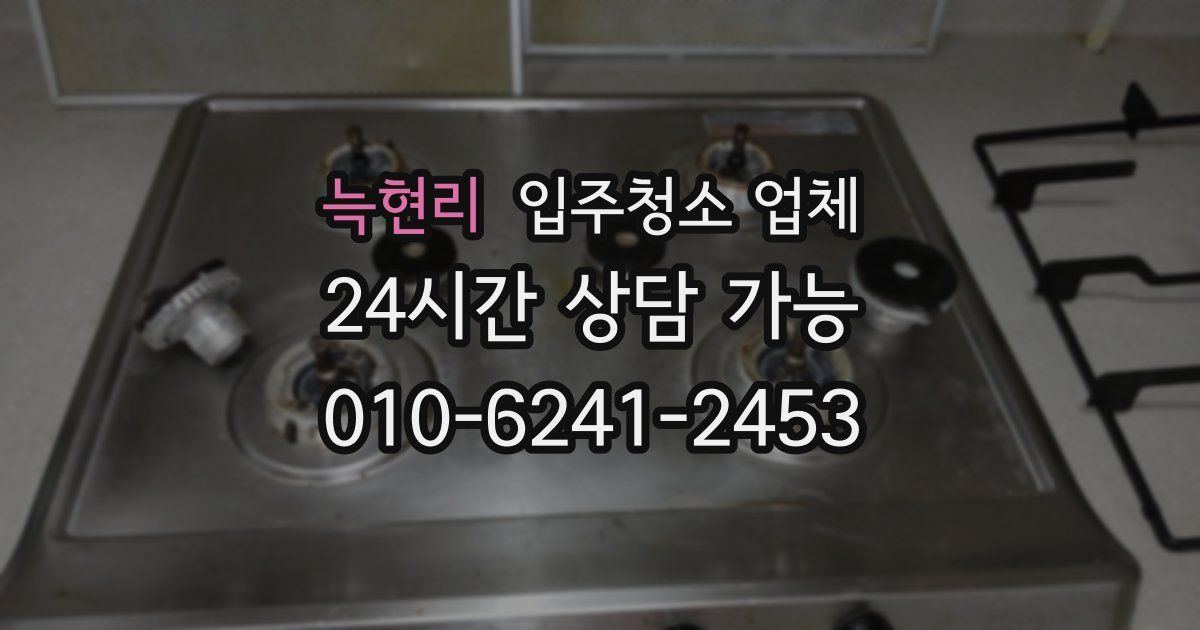 늑현리 입주청소 업체