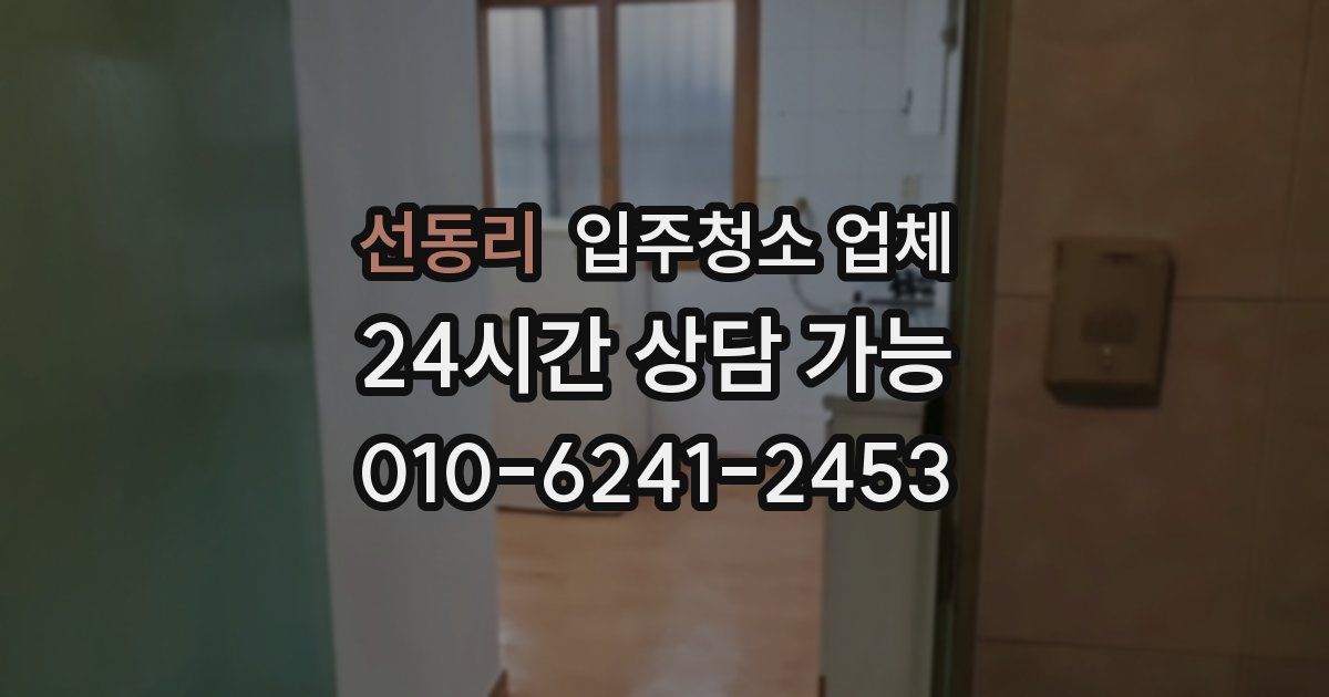 선동리 입주청소 업체