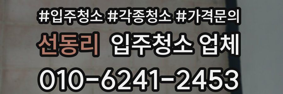 선동리 입주청소 업체