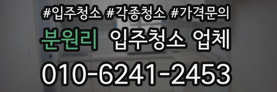 분원리 입주청소 업체