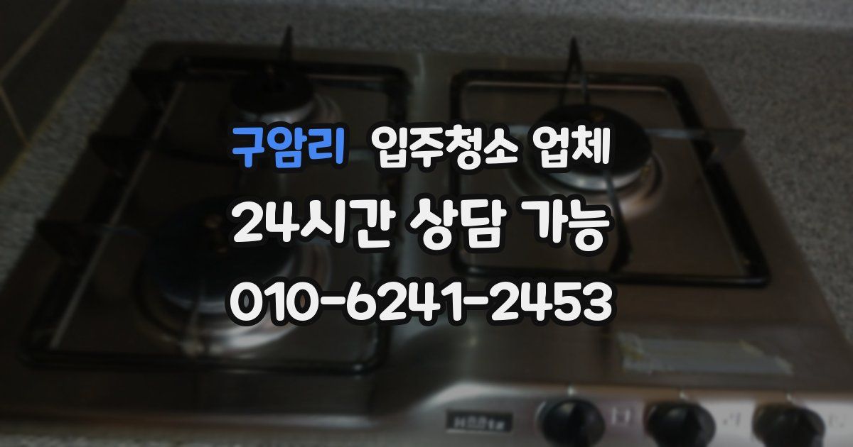 구암리 입주청소 업체