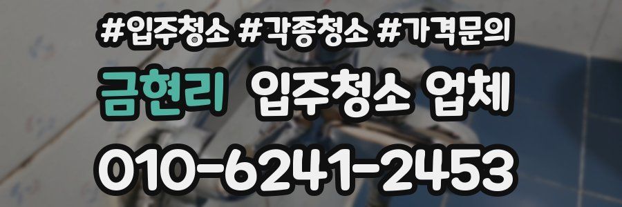 금현리 입주청소 업체