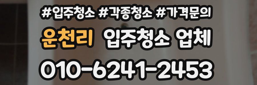 운천리 입주청소 업체