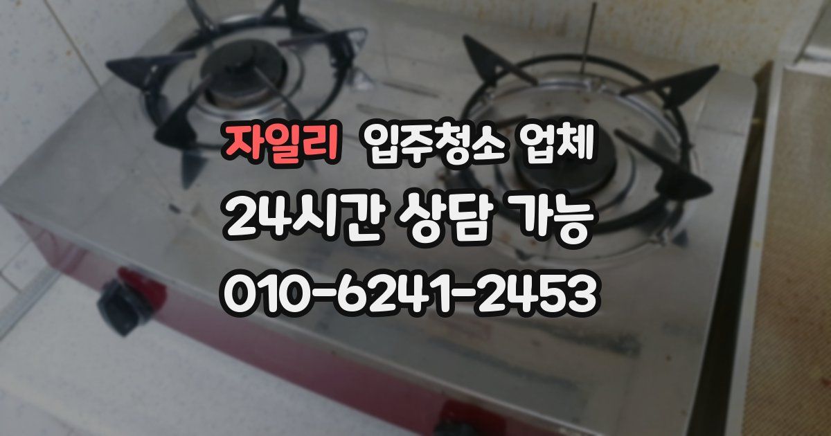 자일리 입주청소 업체