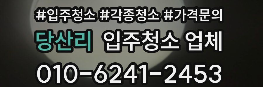 당산리 입주청소 업체