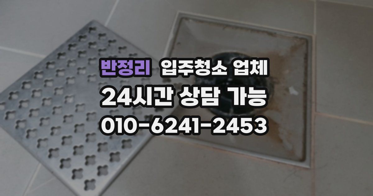 반정리 입주청소 업체