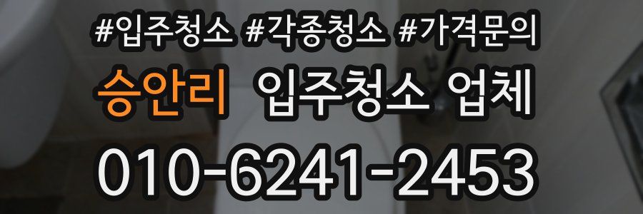 승안리 입주청소 업체