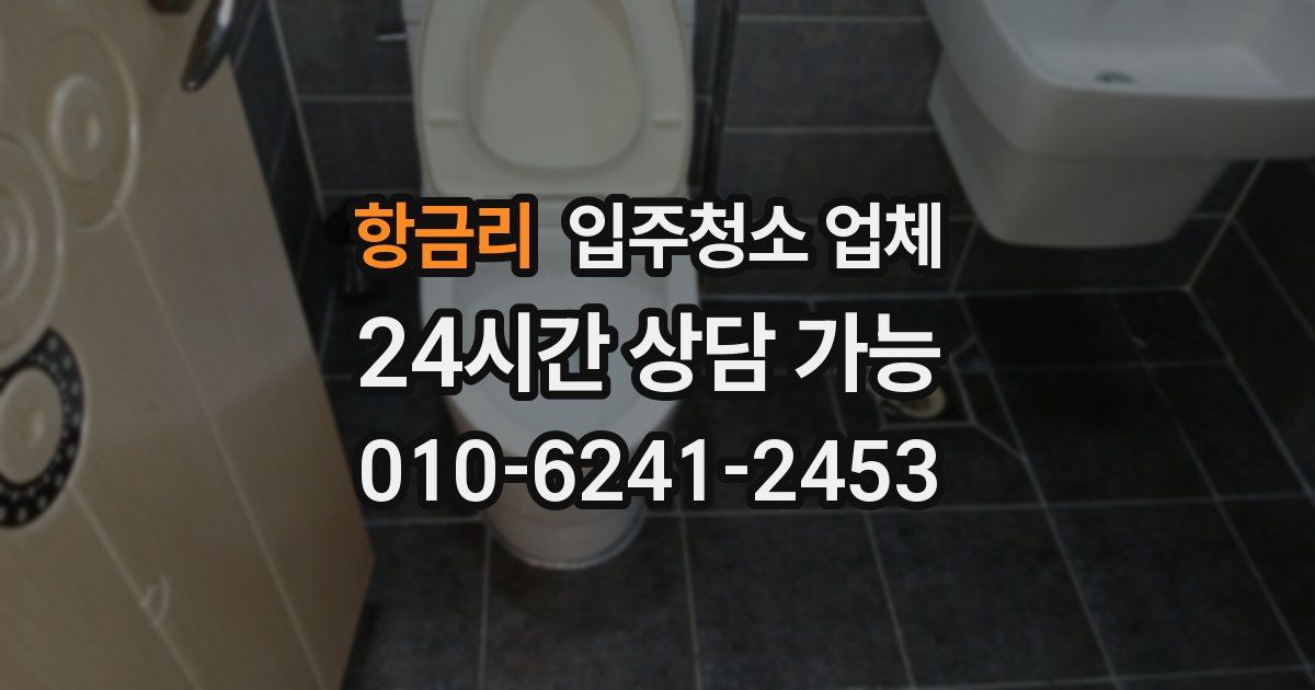 항금리 입주청소 업체