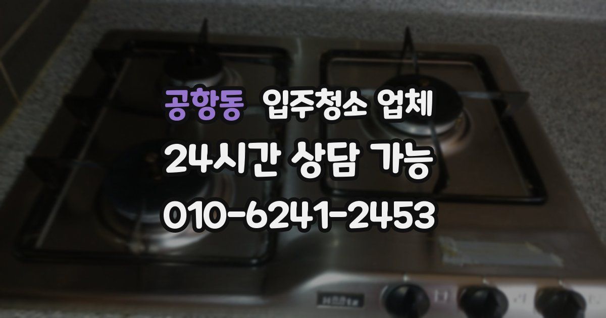 공항동 입주청소 업체