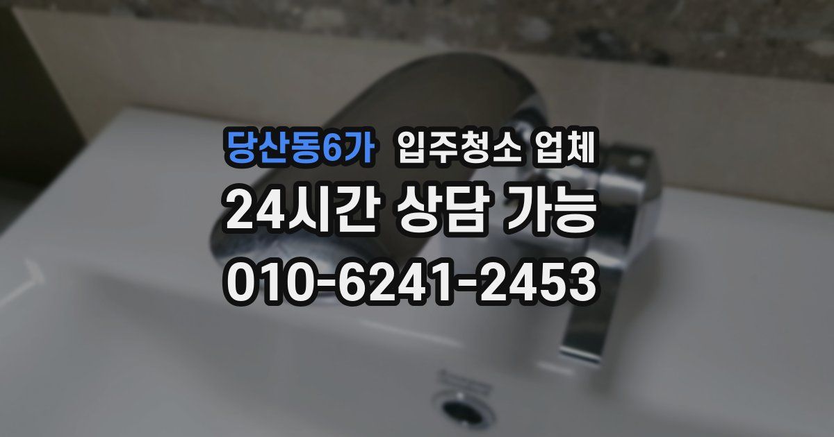 당산동6가 입주청소 업체