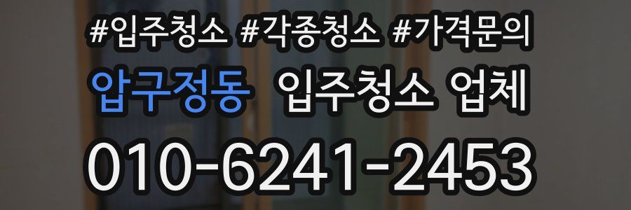압구정동 입주청소 업체