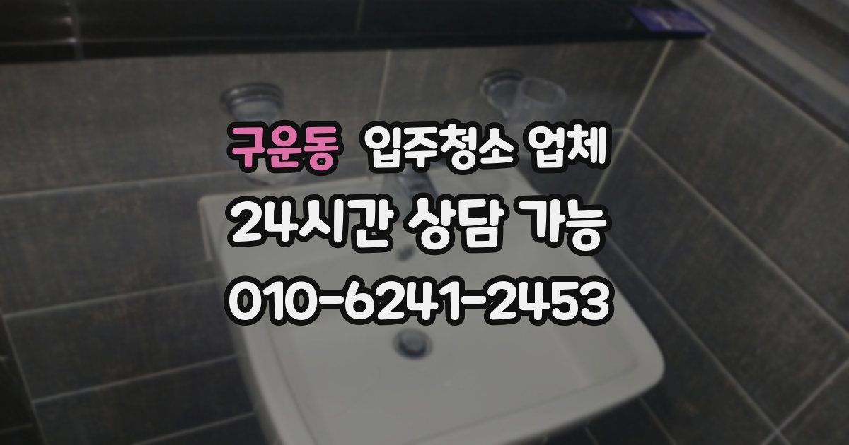구운동 입주청소 업체