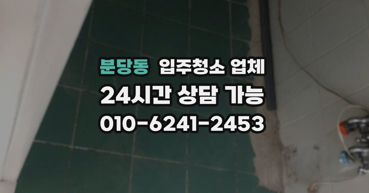 분당동 입주청소 업체