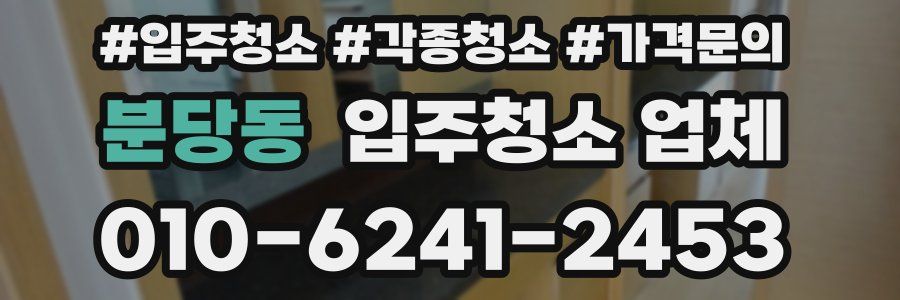 분당동 입주청소 업체