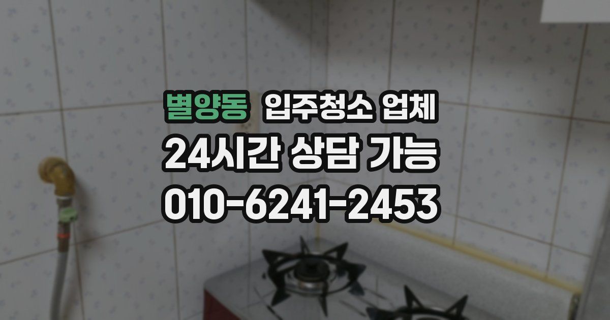 별양동 입주청소 업체