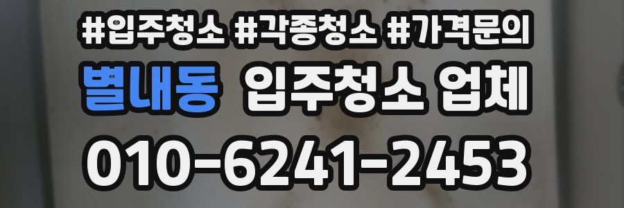 별내동 입주청소 업체