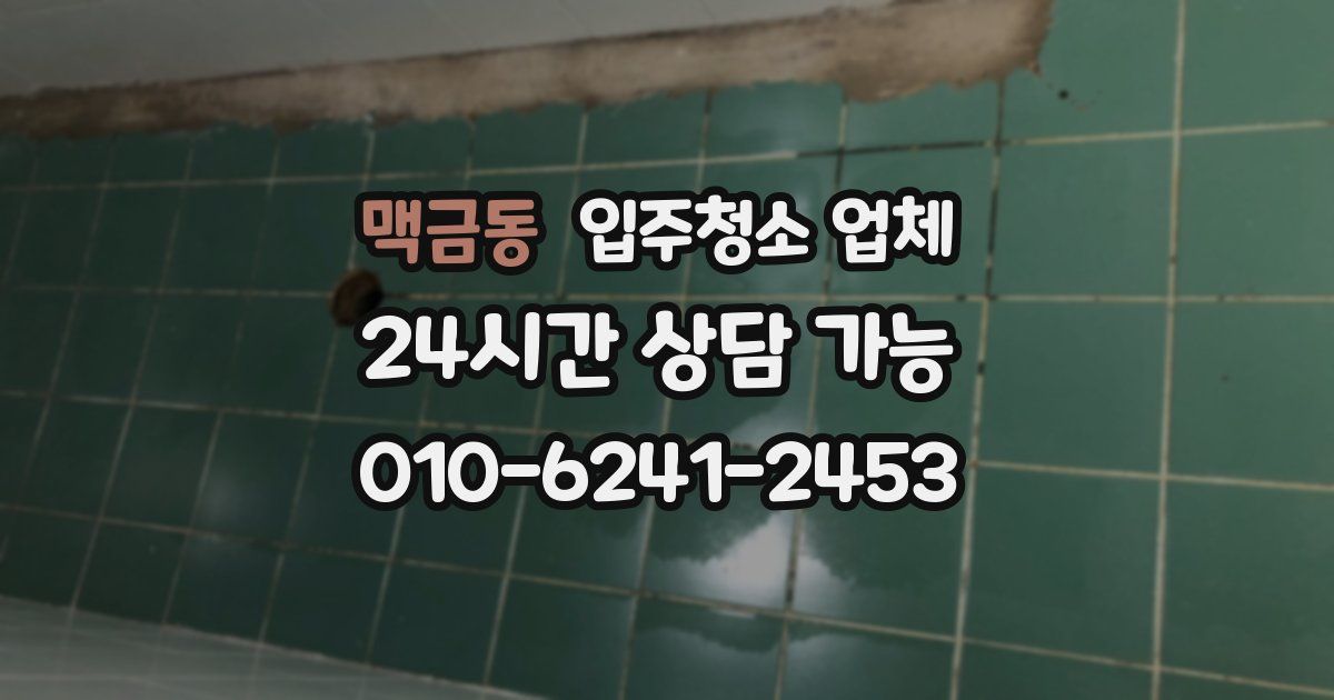 맥금동 입주청소 업체