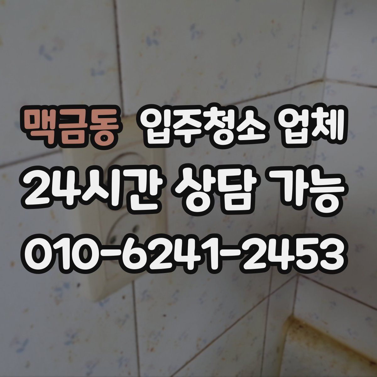 맥금동 입주청소 업체