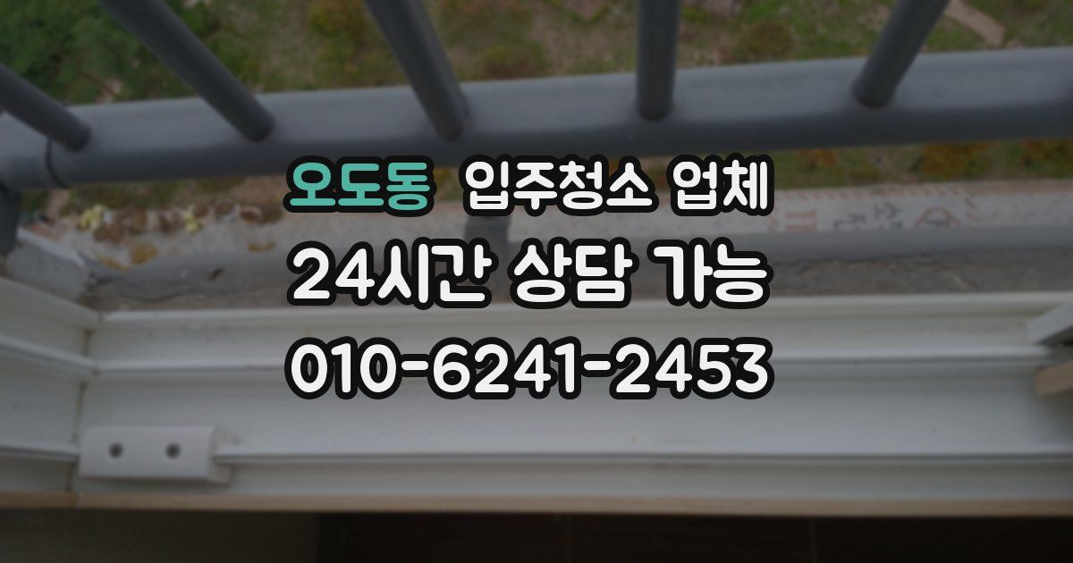 오도동 입주청소 업체