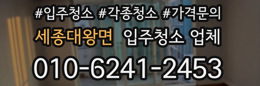 세종대왕면 입주청소 업체