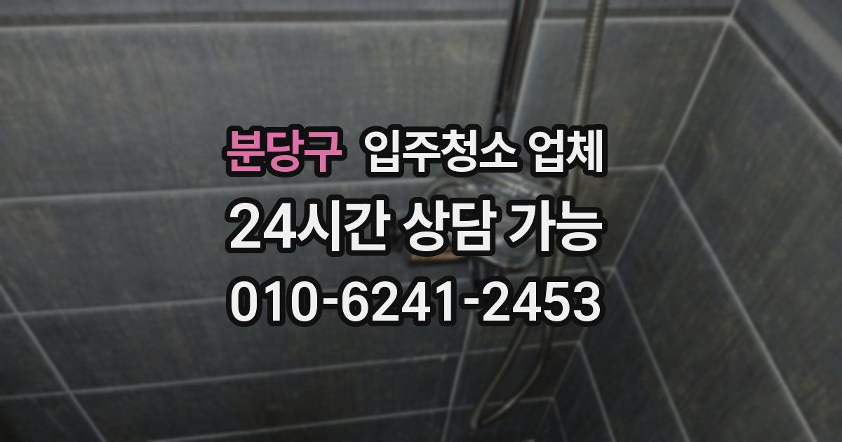 분당구 입주청소 업체
