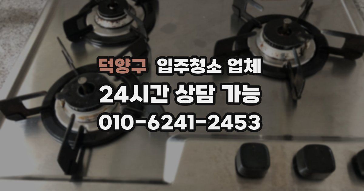덕양구 입주청소 업체