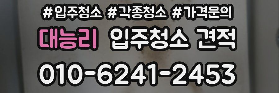 대능리 입주청소 견적